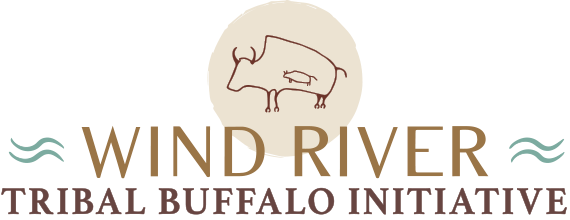 Wind River Tribal Buffalo Initiative logo