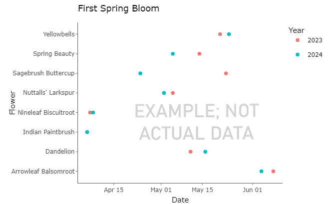 Wildflower Bloom Watch